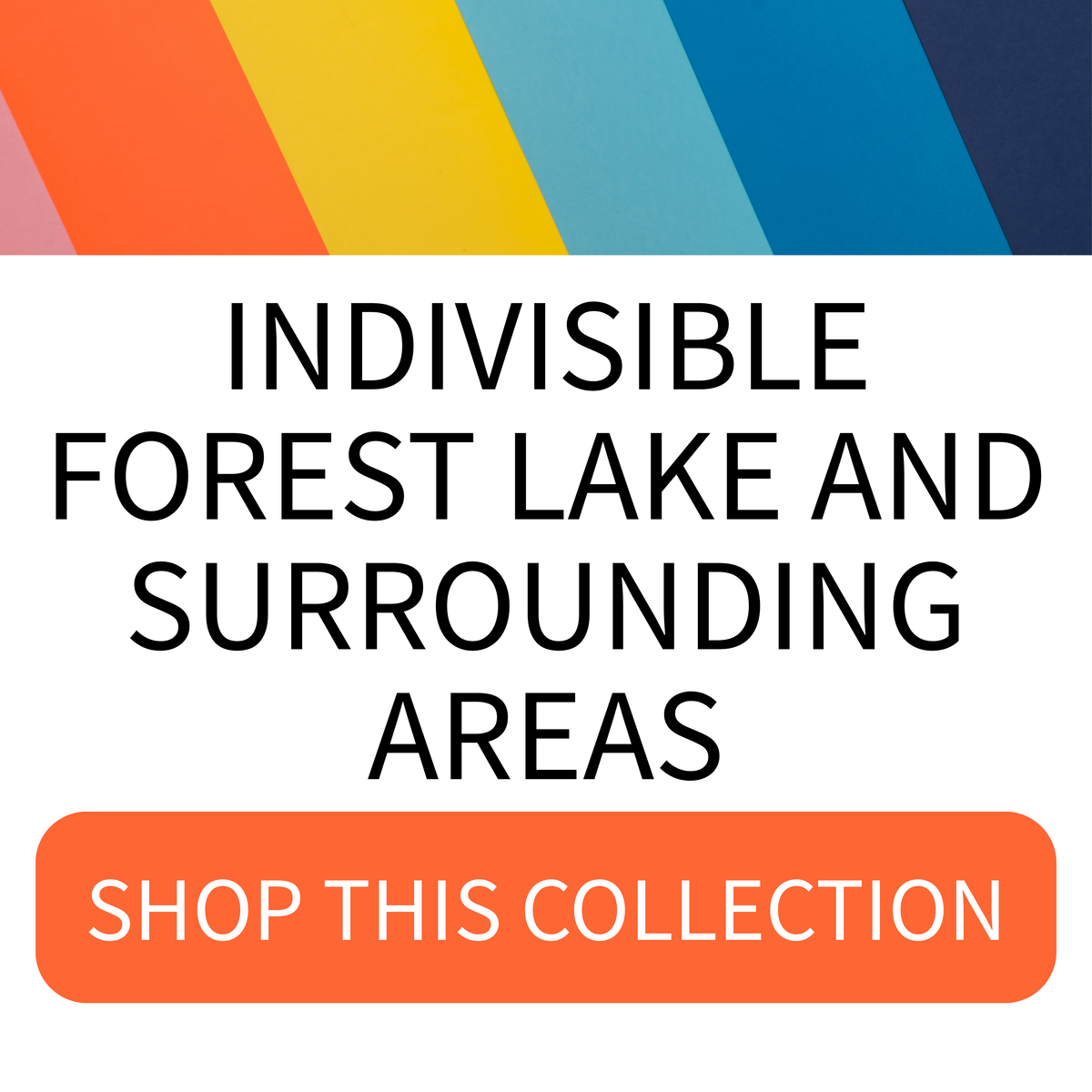 Forest Lake Indivisible
