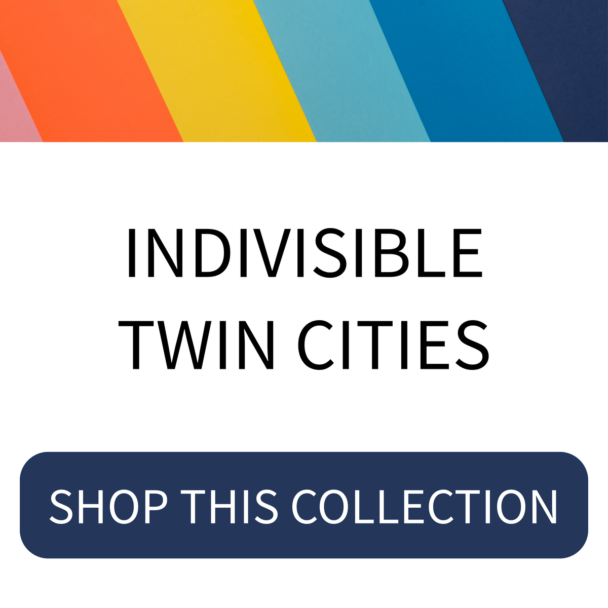 Indivisible Twin Cities