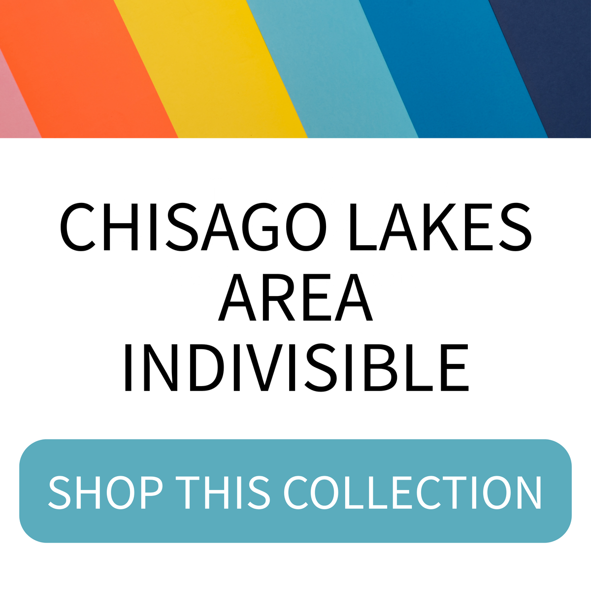 Chisago Lakes Area Indivisible