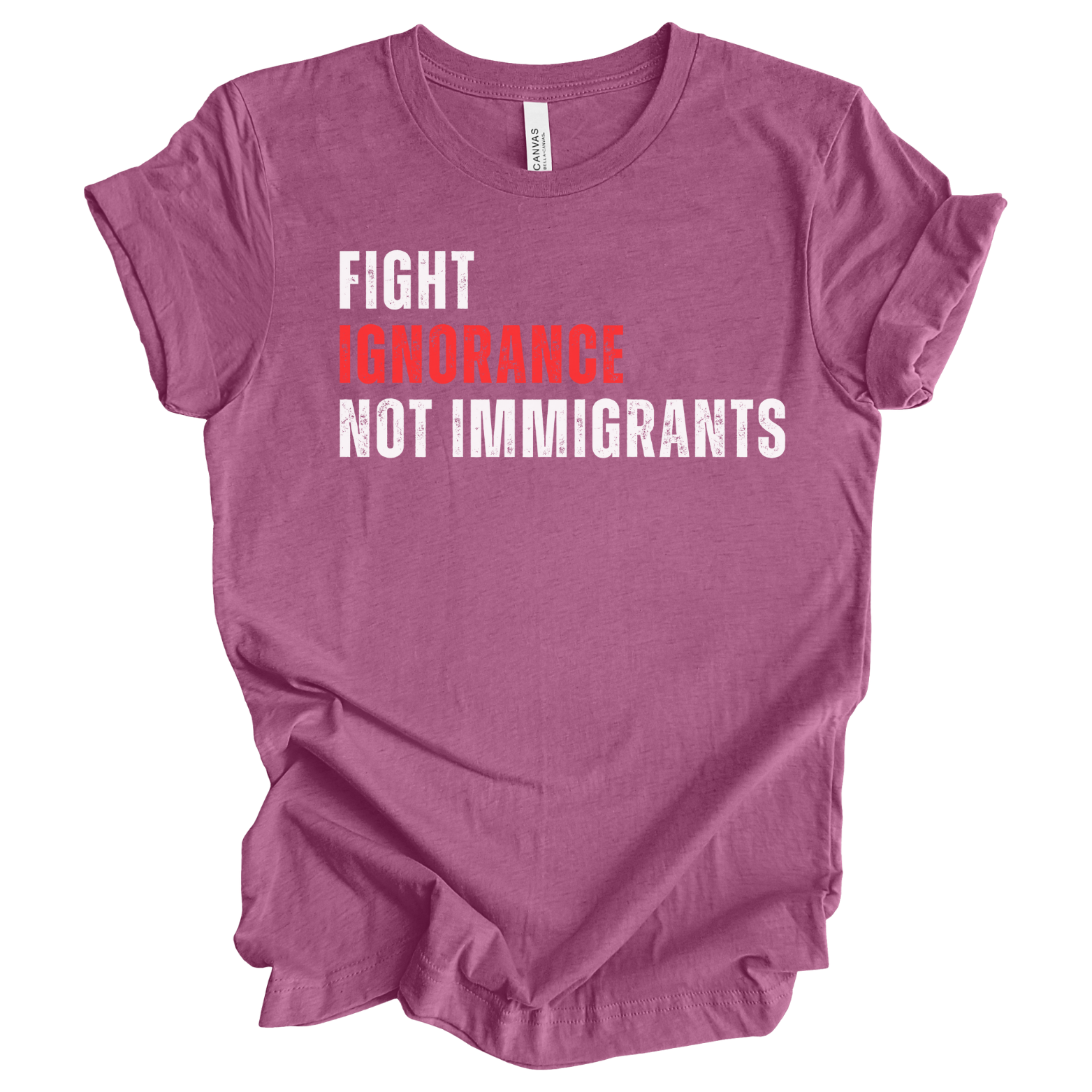 Fight Ignorance Not Immigrants - T-shirt