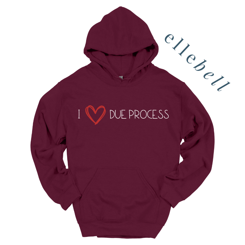 I Heart Due Process - Hoodie